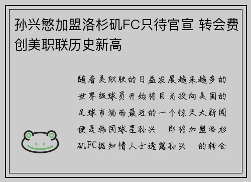 孙兴慜加盟洛杉矶FC只待官宣 转会费创美职联历史新高